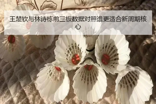 王楚钦与林诗栋前三板数据对照谁更适合新周期核心